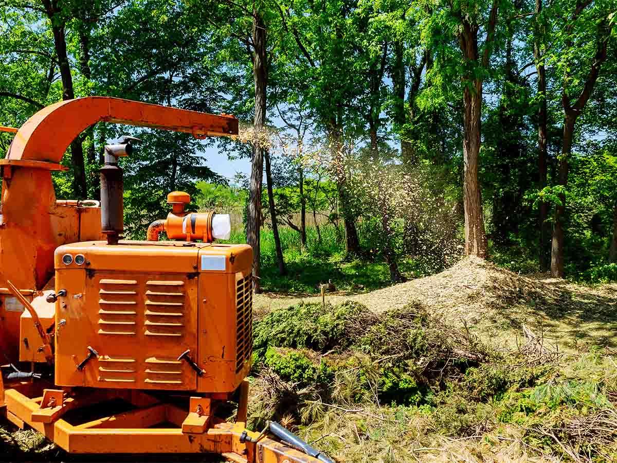 Broyage forestier Jouques